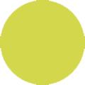 Citrus yellow